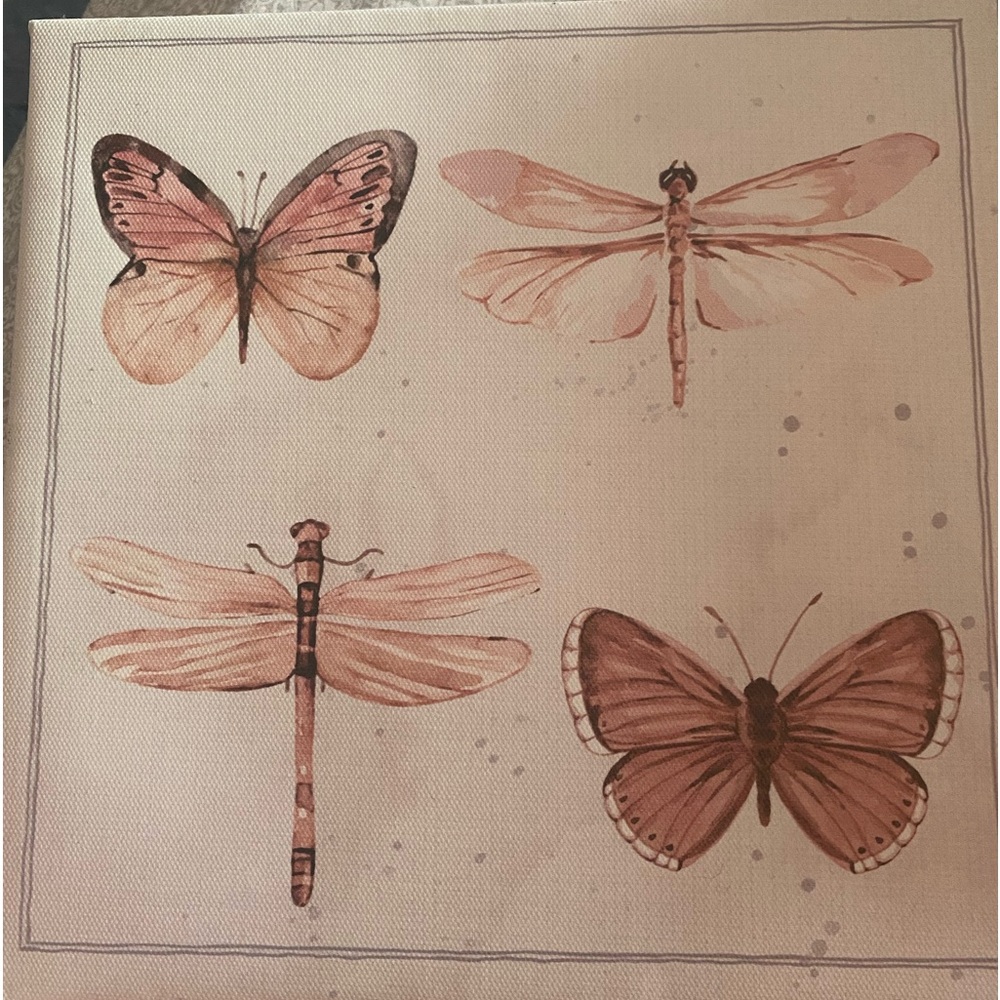 Butterfly and dragonfly wall art
